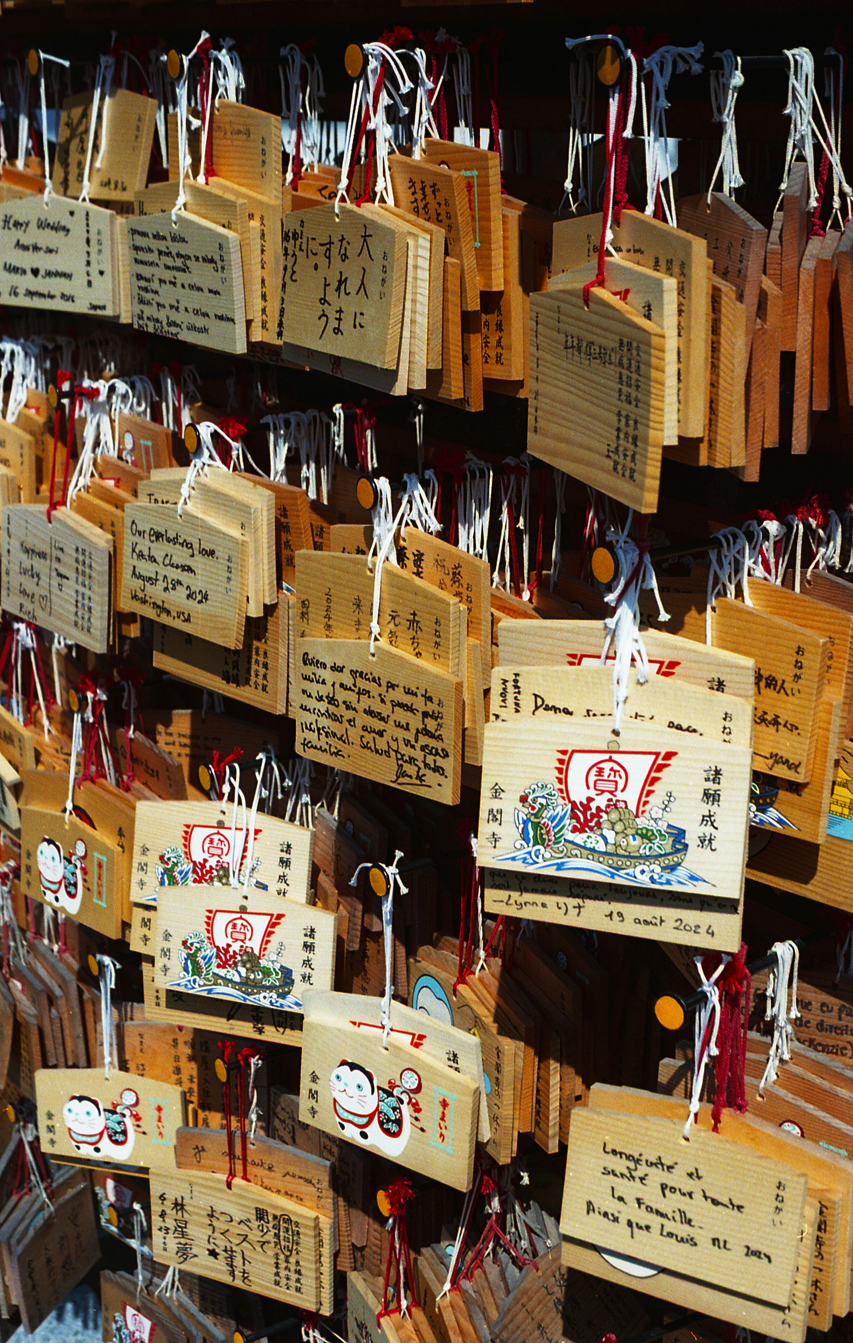 Adventure Tourism Trends Highlight Role of Hotel Key Cards as Anchors for Experience-Led Travelers