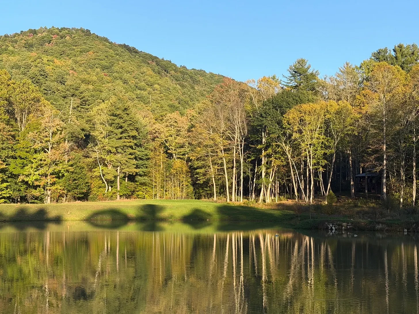 Dave Develops Forge Mountain Club with Focus on Minimal Environmental Impact, Retains 60% of Land as Green Space