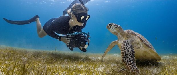 Le Méridien Maldives Hosts Underwater Photography Experience with Renowned Photographer Greg Lecoeur for Marriott Bonvoy Members
