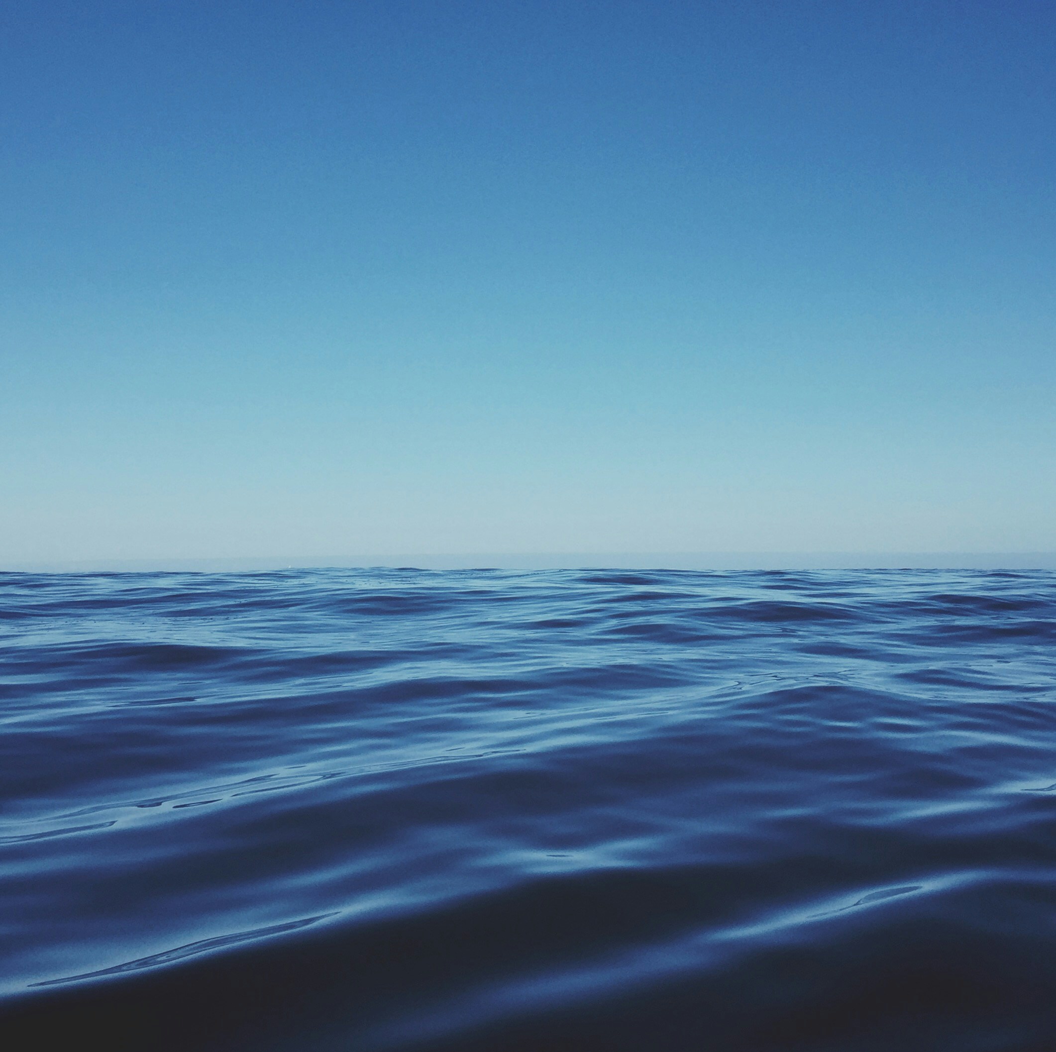 Blue Ocean Strategy Advocated for Hotels to Enhance Guest Experiences and Drive Growth Through External Partnerships