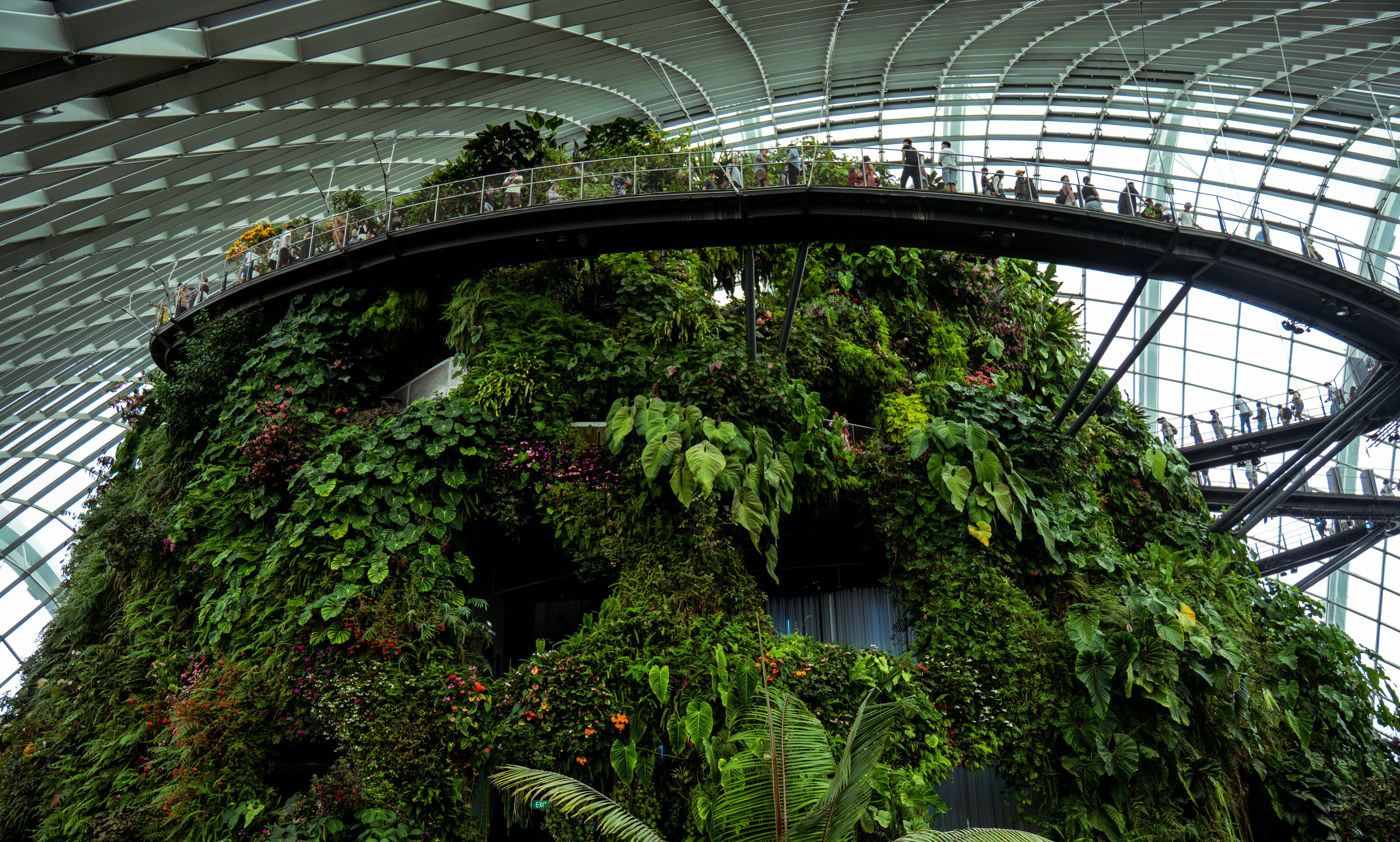 Study Reveals Over 50% of Hotels Implement Environmental Technology, Highlighting Barriers and Opportunities for Green Performance