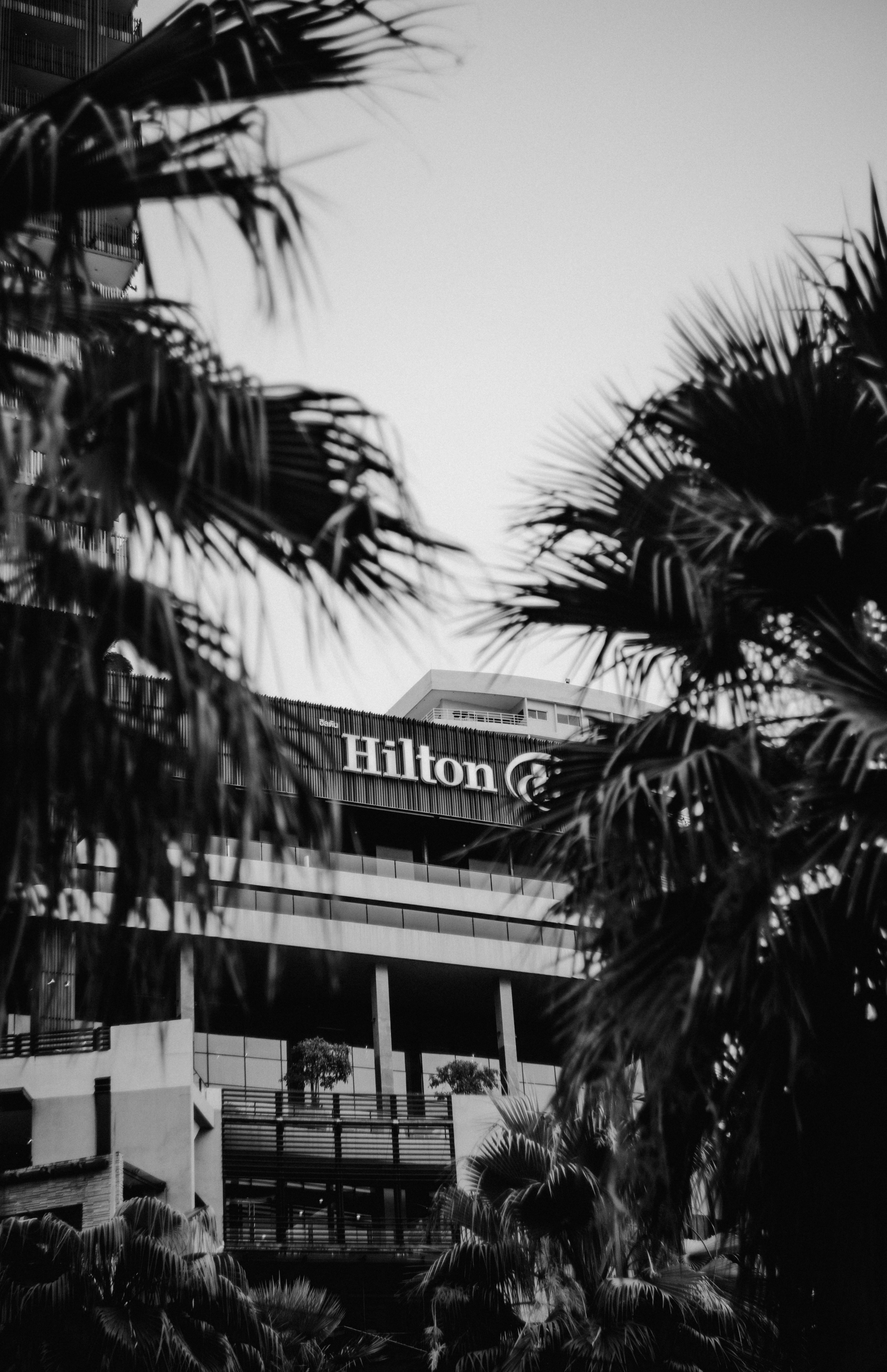Hilton Garden Inn Savannah Airport Recognized for Exceptional Guest Experience in Hilton Brand Research Study