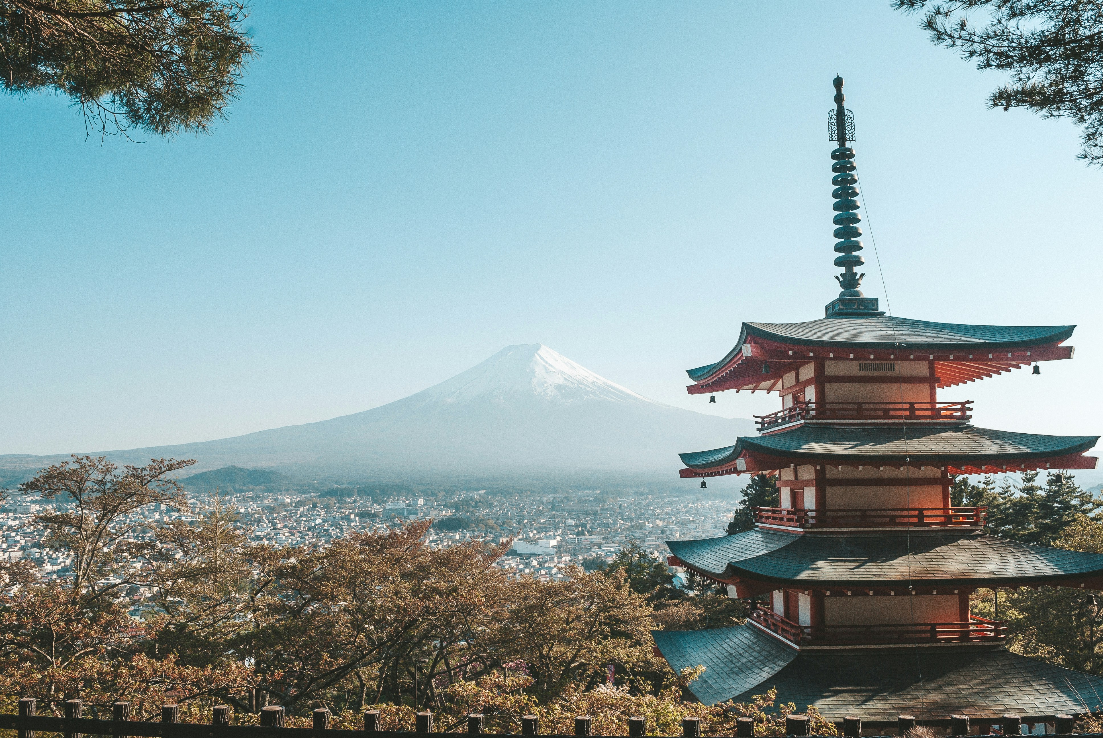 Japan's Domestic Tourism Boosts Hotel Prices in November 2026 Despite Decline in International Arrivals