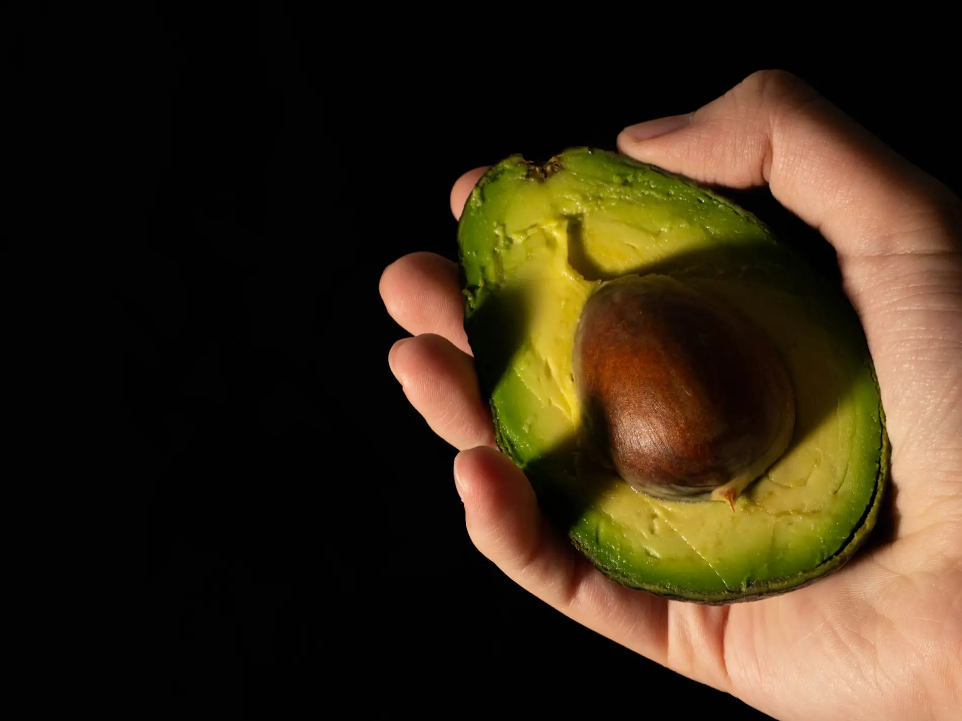 Mexican Avocado Production Faces Environmental and Social Challenges Amidst Rising U.S. Demand, Report States