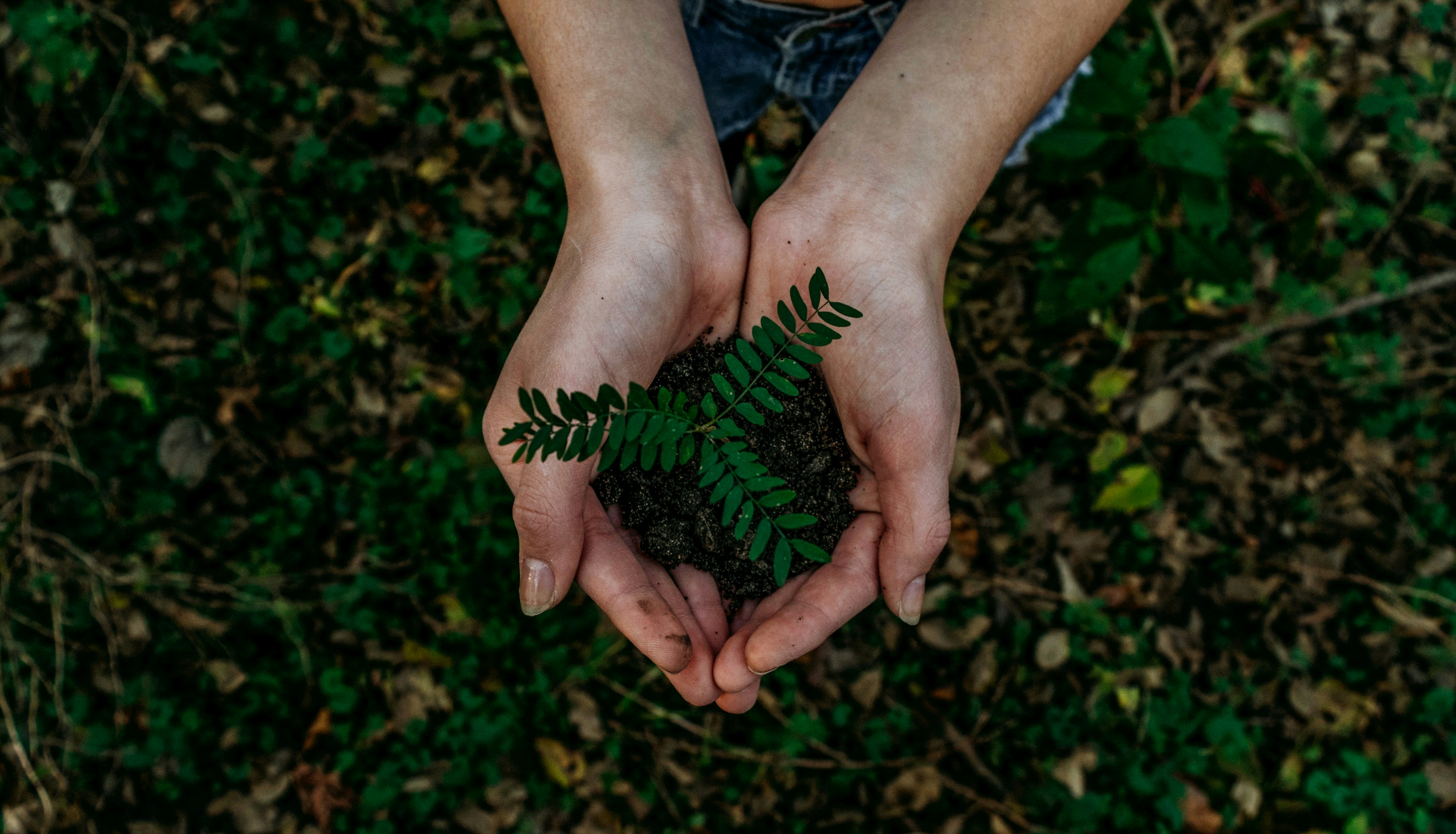 Mandarin Oriental Launches MO.RE Platform to Achieve 33% Carbon Reduction and Enhance Sustainable Luxury by 2030